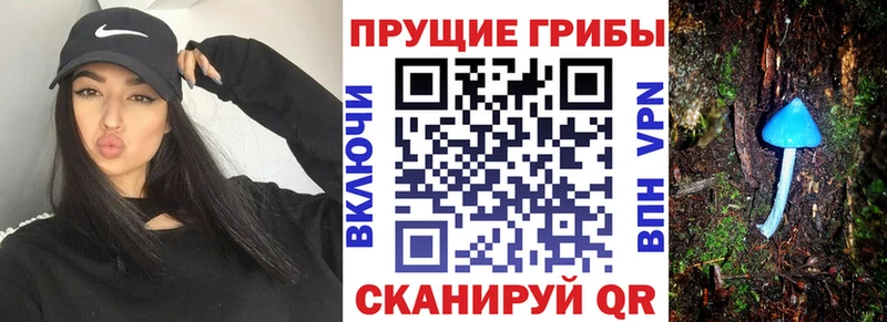 Псилоцибиновые грибы прущие грибы  Оренбург 