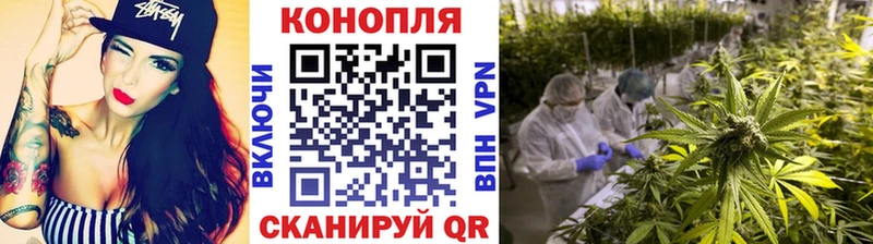 купить наркоту  Оренбург  Каннабис семена 